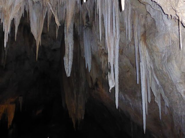 20150418-37 Newdegate Cave